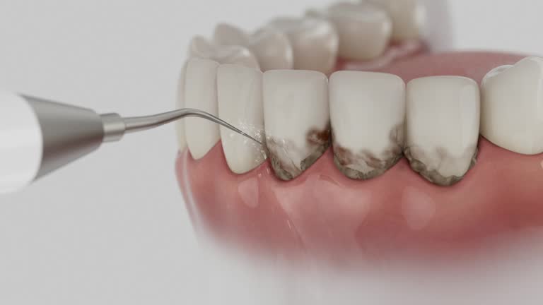 Reliable Dental contractor in Wakarusa, IN by Dentist Open Now